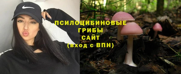 ПСИЛОЦИБИНОВЫЕ ГРИБЫ Баксан