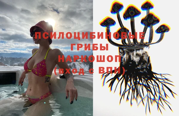 ПСИЛОЦИБИНОВЫЕ ГРИБЫ Баксан
